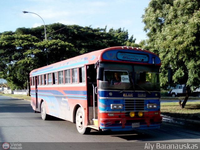 Colectivos Transporte Maracay C.A. 09 por Aly Baranauskas