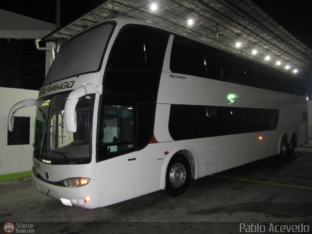 Expresos Flamingo 0116 por Pablo Acevedo