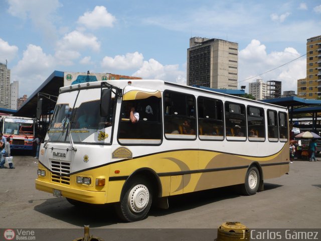 A.C. Indepasib 019 por J. Carlos G�mez