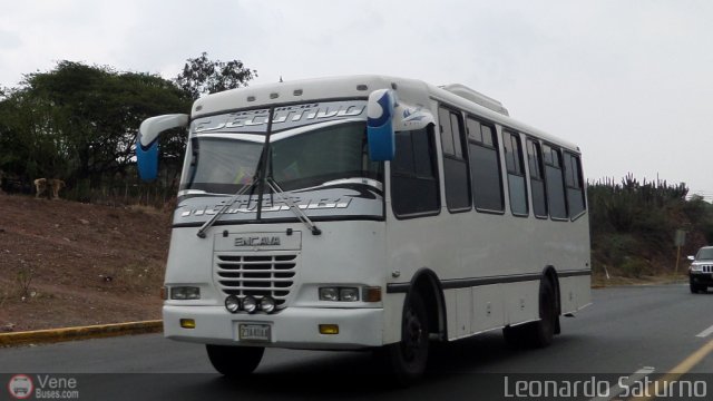 Particular 990 por Leonardo Saturno