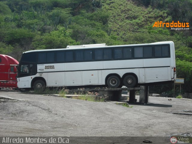 Rpidos Guayana 0002 por Alfredo Montes de Oca