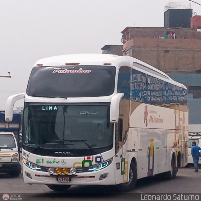 Expreso Internacional Palomino 7031 por Leonardo Saturno