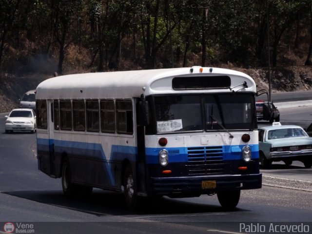 Universidad Sim�n Bol�var 07 por Pablo Acevedo