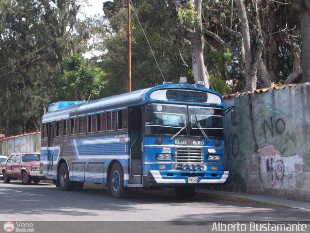 Expresos Continente C-18 por Alberto Bustamante