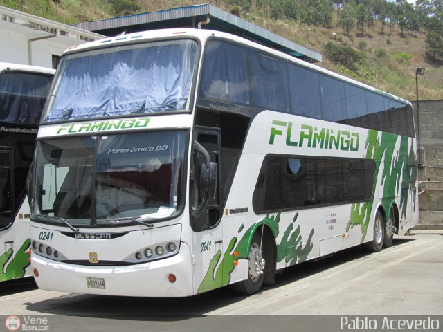 Expresos Flamingo 0241 por Pablo Acevedo