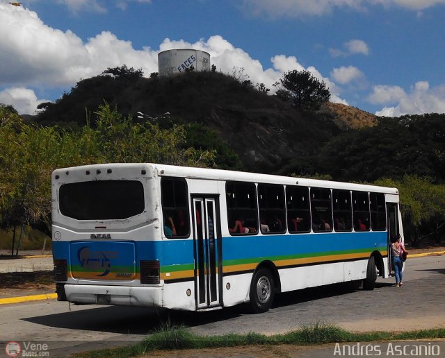 Universidad de Carabobo 003 por Andrs Ascanio