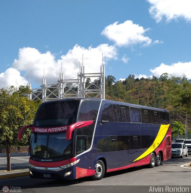 Tigres de Aragua B.B.C. 02 por Alvin Rond�n