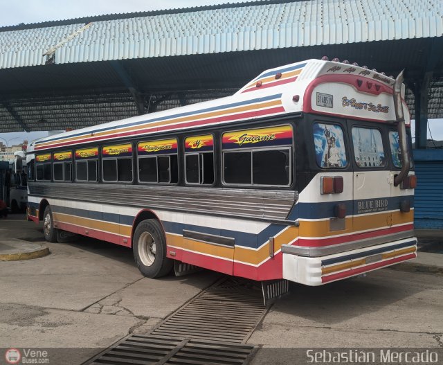 Colectivo San Rafael 03 por Sebastin Mercado