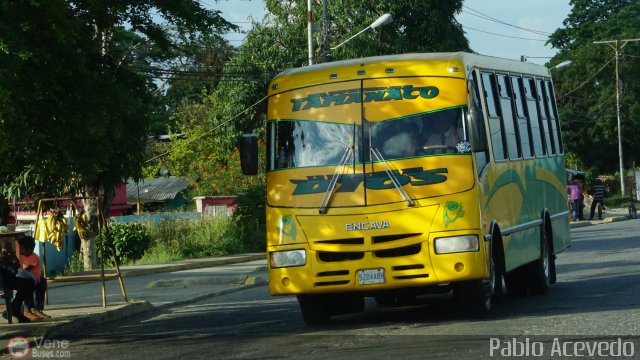 A.C. de Transporte Sol de Tamanaco 25 por Pablo Acevedo