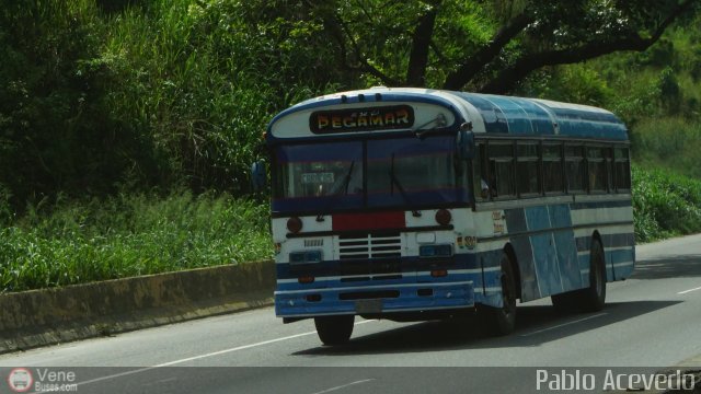 Expresos Pegamar 0008 por Pablo Acevedo