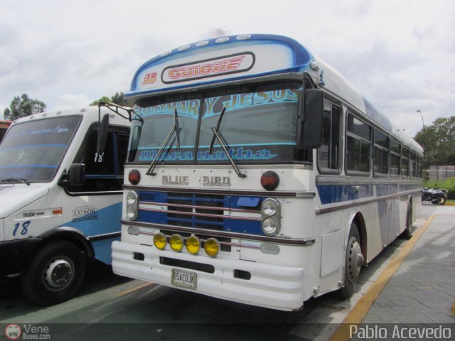 Transporte Arvelo 38 por Pablo Acevedo