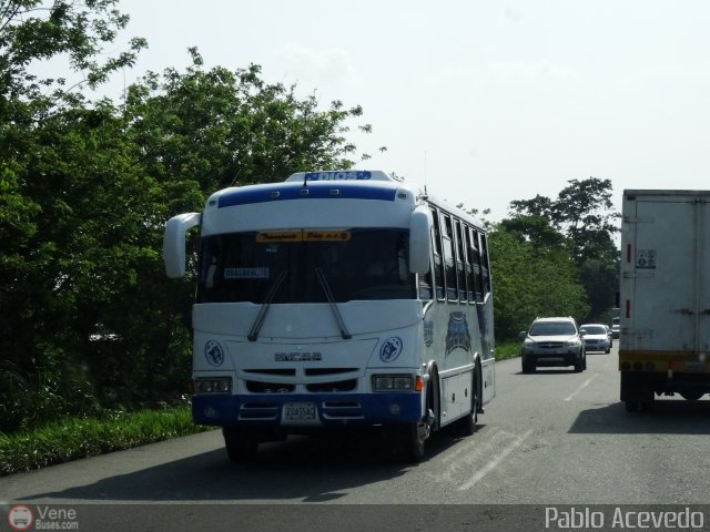 A.C. Transporte Paez 031 por Pablo Acevedo