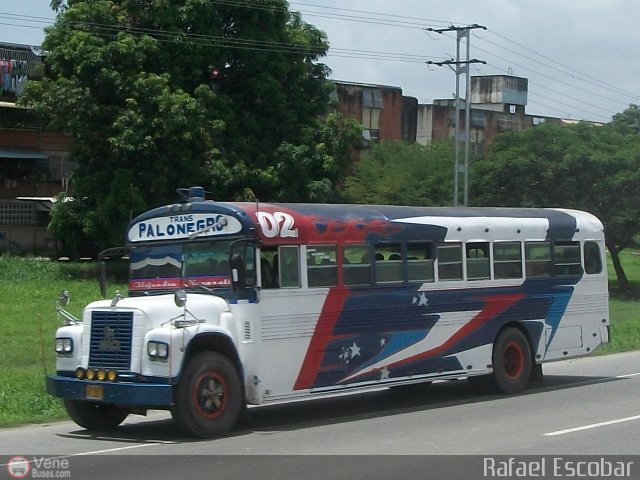 Transporte Colectivo Palo Negro 002 por Rafael Escobar