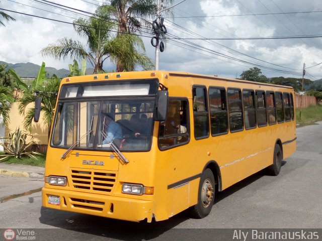 Particular NO USAR M�S 22 por Aly Baranauskas