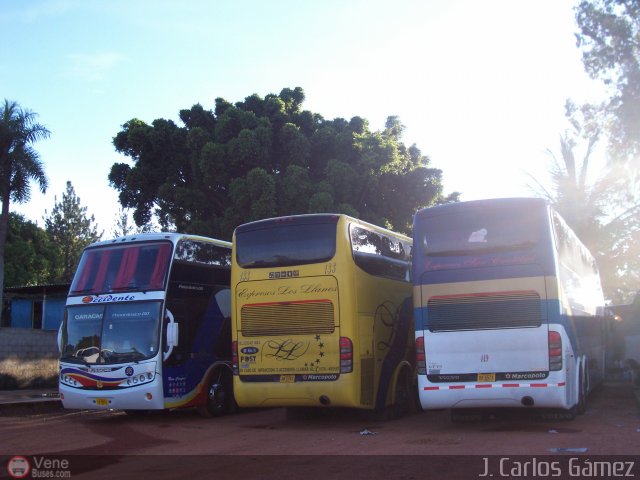 Expresos Los Llanos 133 por J. Carlos G�mez