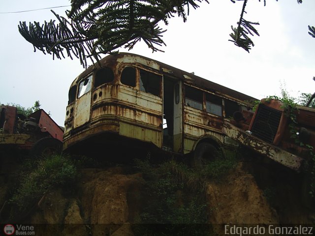 DC - Autobuses San Ruperto C.A. 05 por Edgardo Gonzlez