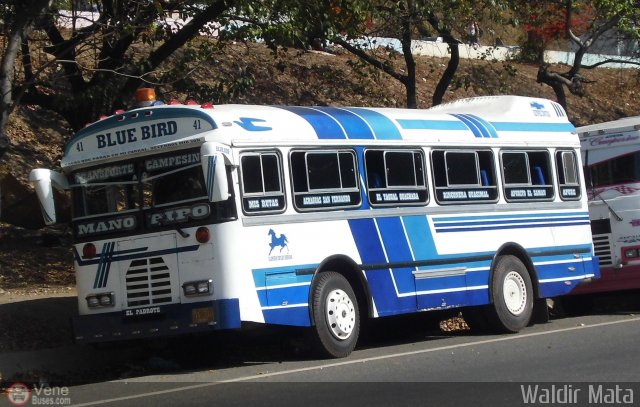 A.C. Transporte Campesino 41 por Waldir Mata