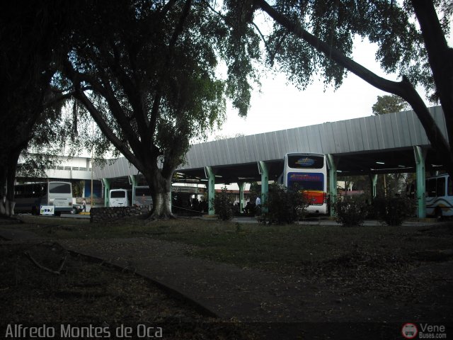 Garajes Paradas y Terminales Merida por Alfredo Montes de Oca