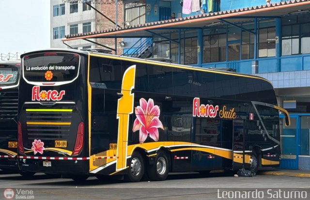 Foto �nibus Brasil.com, por Leonardo Saturno