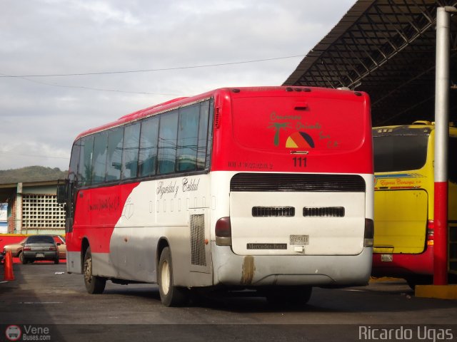 Cruceros Oriente Sur 111 por Ricardo Ugas