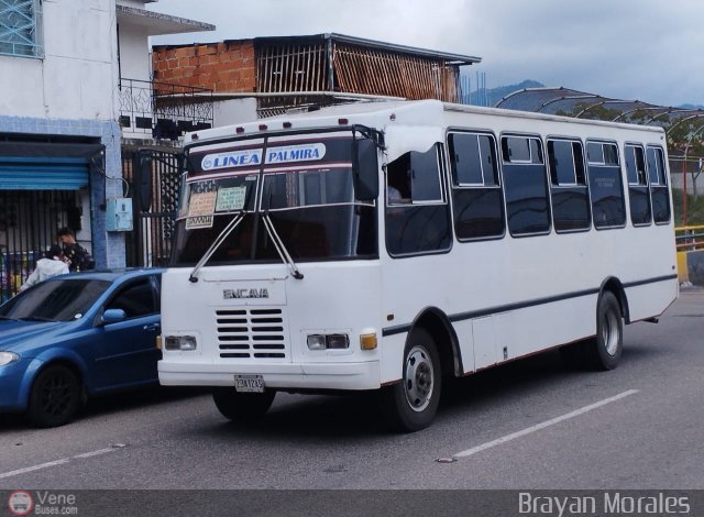 TA - A.C. Autos por puesto Lnea Palmira 026 por Jerson Nova