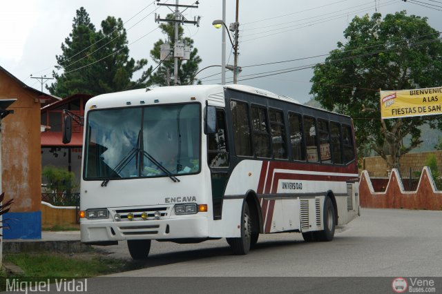 Universitarios y Escolares 01 por Miguel Vidal