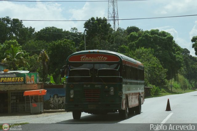 Autobuses de Tinaquillo 21 por Pablo Acevedo