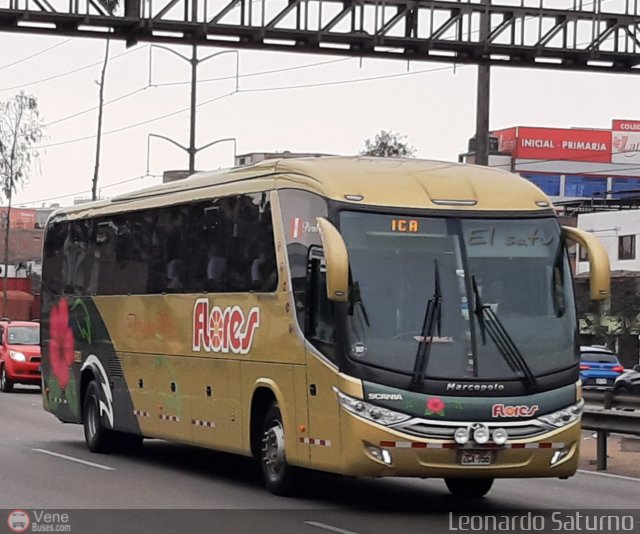 Transporte Flores Hermanos S.R.L 956 por Leonardo Saturno
