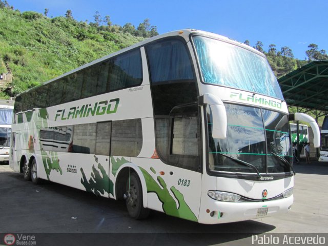 Expresos Flamingo 0183 por Pablo Acevedo