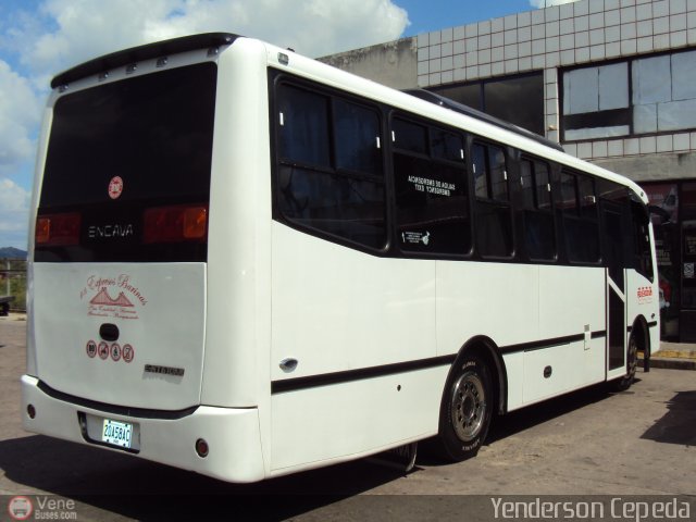 A.C. Expresos Barinas 010 por Yenderson Cepeda