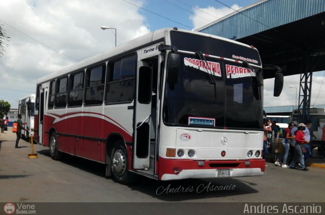 AR - Cooperativa La Pedrera 51 por Andr�s Ascanio