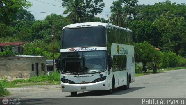 Expresos Occidente 147 por Pablo Acevedo