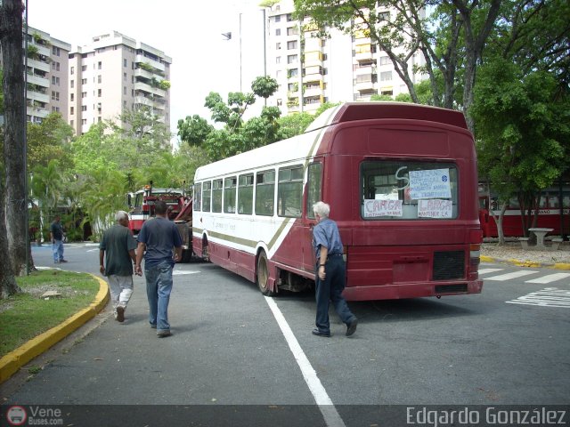 En Chiveras Abandonados Recuperacin 15 por Edgardo Gonzlez