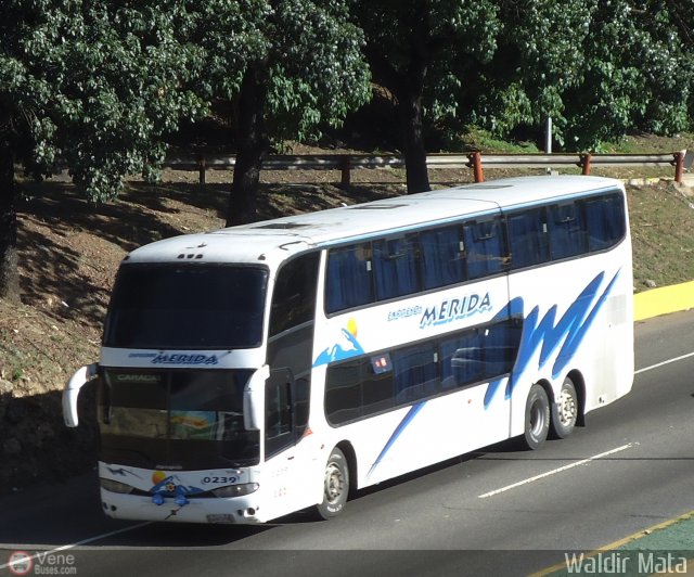 Expresos M�rida 0239 por Waldir Mata