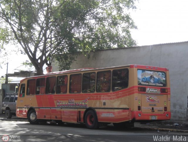 Transporte Carache 02 por Waldir Mata