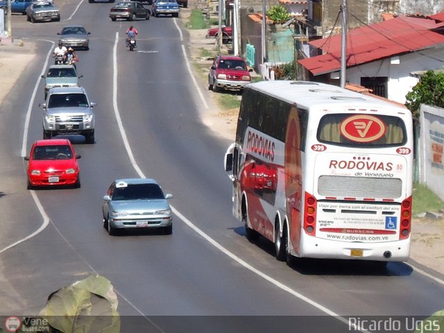 Rodovias de Venezuela 399 por Ricardo Ugas