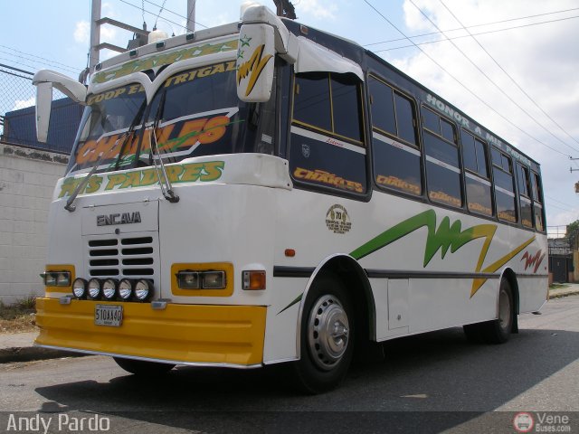 CA - Asociaci�n Coop. El Trigal R.L. 70 por Andy Pardo