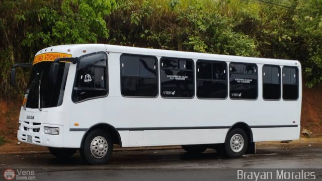 TA - A.C. L�nea Intercomunal 55 por Jerson Nova