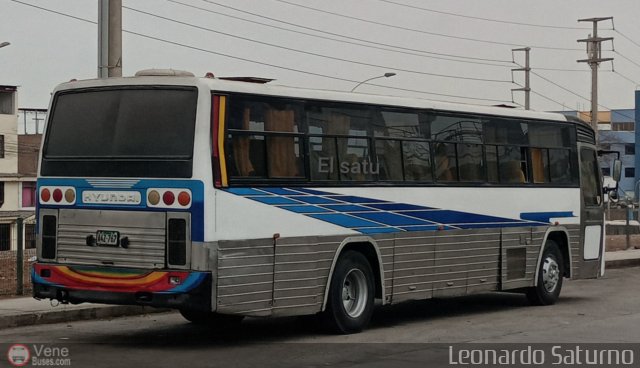 Particular 767 por Leonardo Saturno
