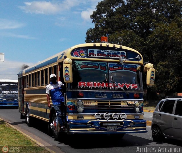 Transporte Agua Blanca 44 por Andrs Ascanio