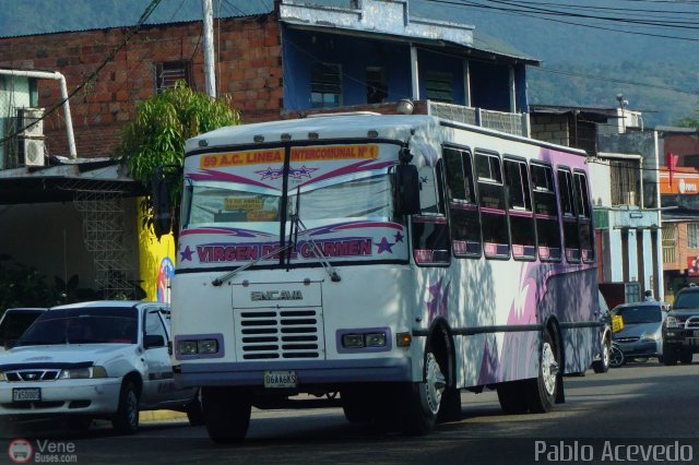 TA - A.C. L�nea Intercomunal 59 por Pablo Acevedo