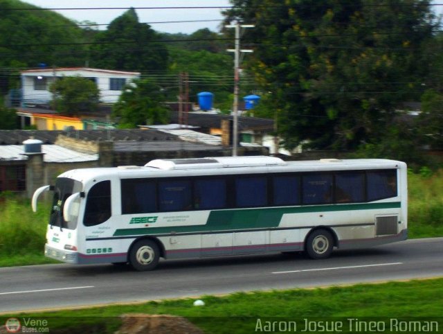 Servicios Especiales del Centro C.A. 39 por Alvin Rond�n