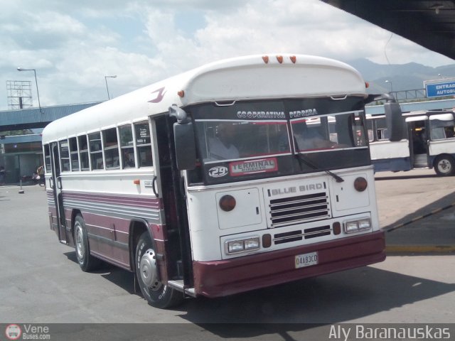 AR - Cooperativa La Pedrera 29 por Aly Baranauskas