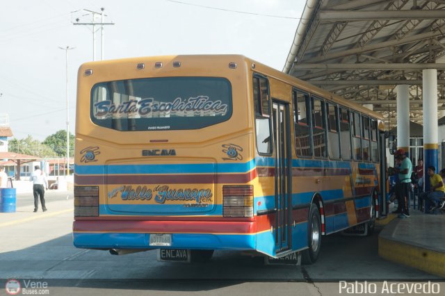 Expresos Valle Guanape 08 por Pablo Acevedo