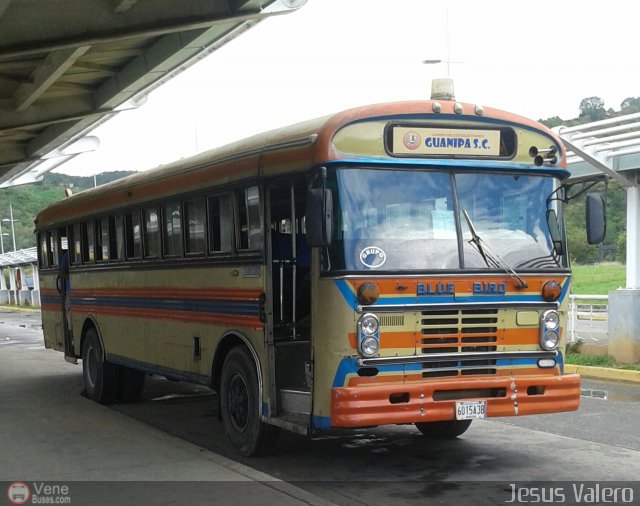 Colectivos La Raza C.A. 19 por Jess Valero