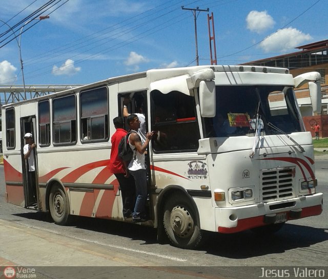 A.C. de Transporte La Raiza 141 por Jess Valero