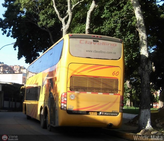 Transporte Clavellino 060 por Waldir Mata