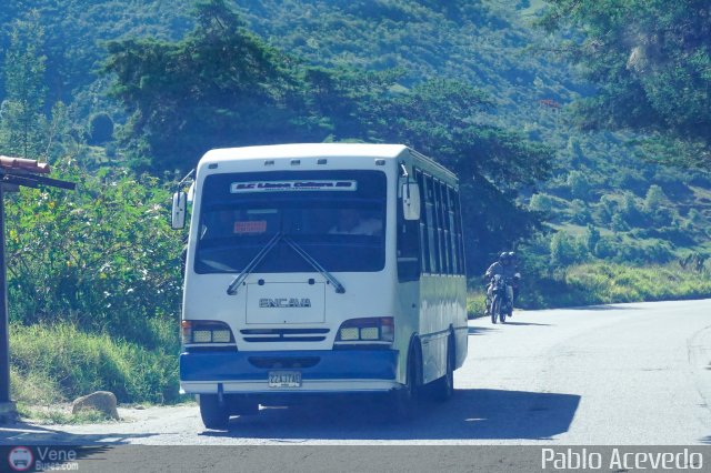 L�nea Cultura 50 por Pablo Acevedo