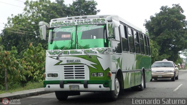 S.C. L�nea Transporte Expresos Del Chama 166 por Leonardo Saturno