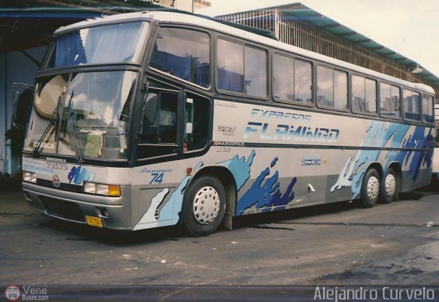 Expresos Flamingo 74 por Alejandro Curvelo